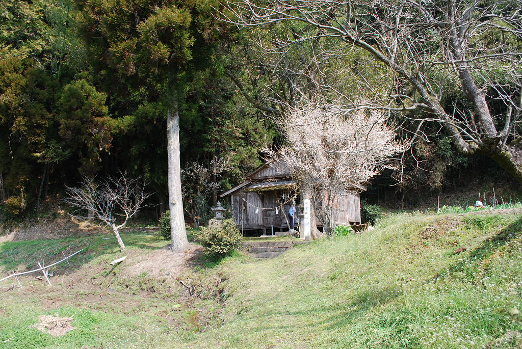 二宮神社社殿