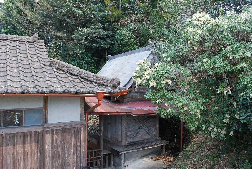 平野神社本殿