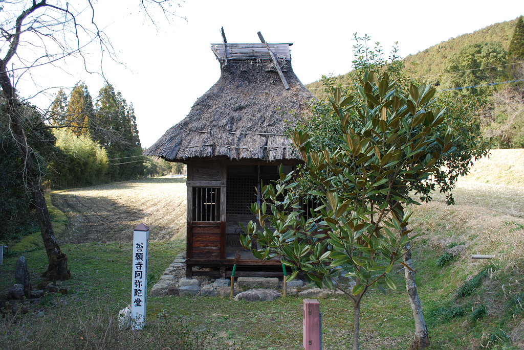 誓願寺阿弥陀堂周辺