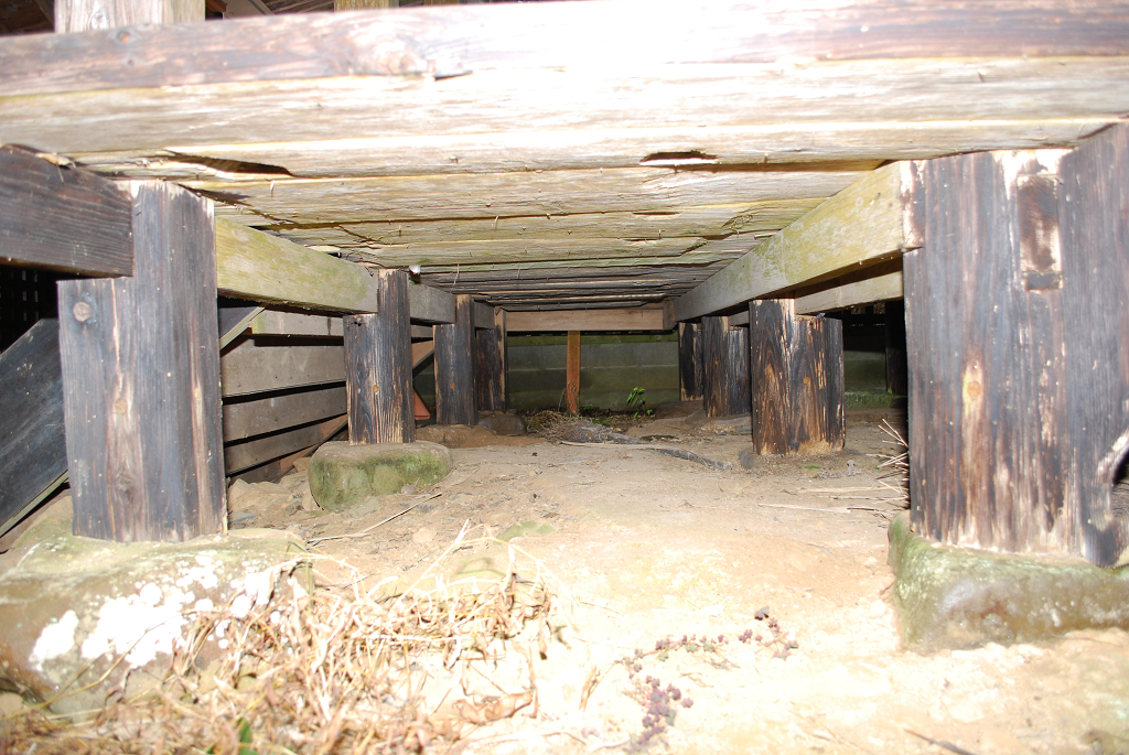 久米熊野坐神社本殿向拝床板下面